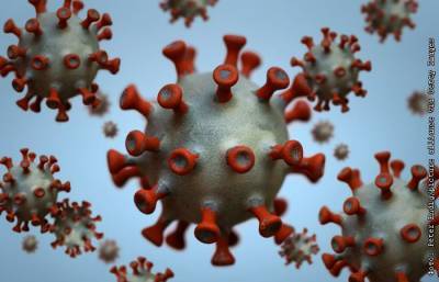 Ученые выяснили, что коронавирус SARS-CoV-2 мутирует раз в неделю - interfax.ru - Москва - Англия