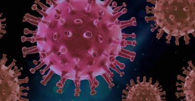 Дмитрий Лиознов - Новая вакцина от коронавируса будет действовать и против гриппа - lipetskmedia.ru - Россия - Санкт-Петербург
