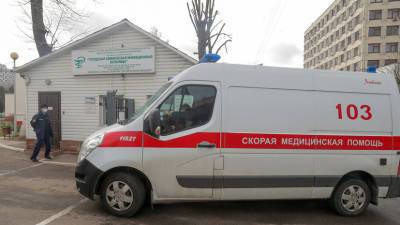 Александр Гинцбург - В Белоруссии за сутки выявили 1058 случаев коронавируса - russian.rt.com - Белоруссия