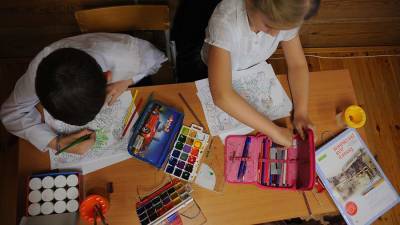 Анастасий Раков - В Москве заявили об отсутствии ограничений по работе кружков в школах - iz.ru - Москва - Израиль