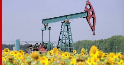 СМИ: ОПЕК+ намерена сохранить текущий темп добычи нефти - profile.ru - Россия