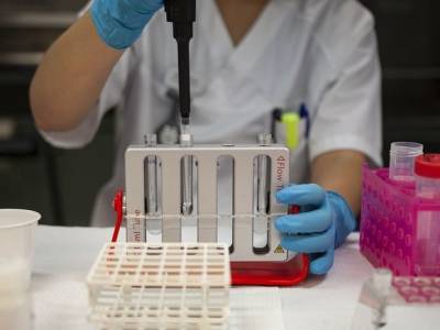 Особо агрессивен и устойчив к вакцинам: в ЮАР выявили новый штамм COVID-19 - rosbalt.ru - Англия - Китай - Новая Зеландия - Юар - Конго
