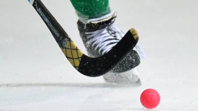 Чемпионат мира по хоккею с мячом был перенесён на 2022 год - russian.rt.com - Иркутск