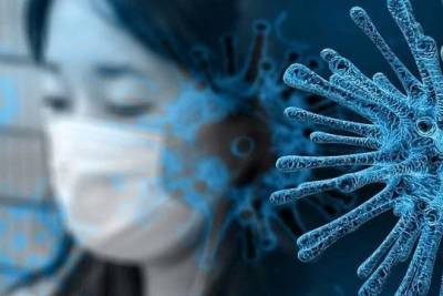 В Китае озвучили новую версию появления коронавируса в Ухане - versia.ru - Китай - Ухань - Пекин