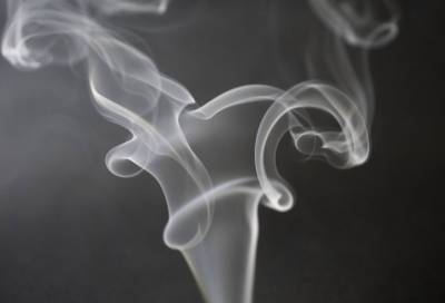 Курящие петербуржцы потратили на табак более 30 миллионов рублей за 2020 год - online47.ru - Петербурга