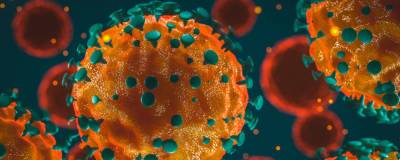 В ЮАР выявили новый штамм коронавируса с высокой скоростью распространения - runews24.ru - Юар