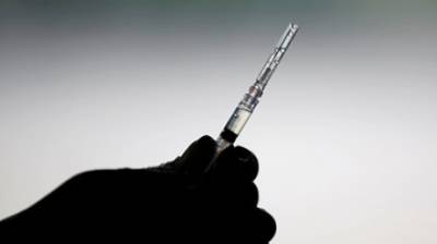 В России анонсировали выход еще одной вакцины от COVID-19 - penzainform.ru - Россия
