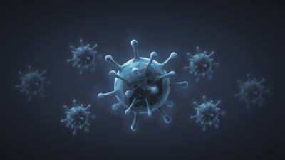 В ЮАР обнаружен новый вариант коронавируса - mir24.tv - Юар