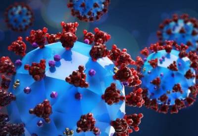 Ученые выяснили скорость мутации коронавируса - facenews.ua - Украина