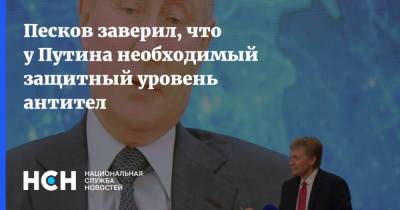 Владимир Путин - Дмитрий Песков - Песков заверил, что у Путина необходимый защитный уровень антител - nsn.fm - Россия