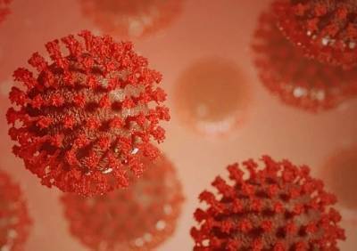 Ученые назвали главную причину смерти от коронавируса - ya62.ru