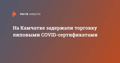 На Камчатке задержали торговку липовыми COVID-сертификатами - ren.tv - Камчатский край