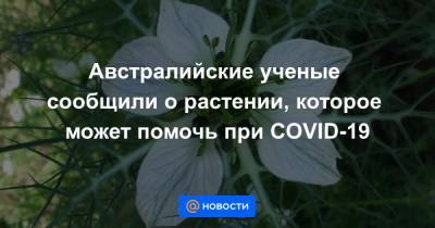 Австралийские ученые сообщили о растении, которое может помочь при COVID-19 - news.mail.ru