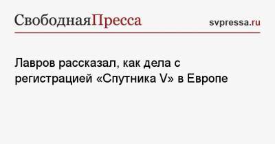 Сергей Лавров - Лавров рассказал, как дела с регистрацией «Спутника V» в Европе - svpressa.ru - Россия