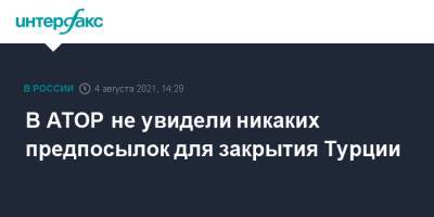 Майя Ломидзе - В АТОР не увидели никаких предпосылок для закрытия Турции - interfax.ru - Россия - Москва - Турция