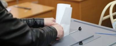 Эксперты ответили на запрос горожан на независимую оценку выборов в Петербурге - runews24.ru - Санкт-Петербург