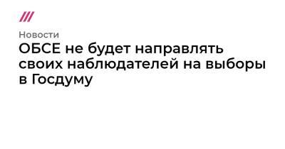 Маттео Мекаччи - ОБСЕ не будет направлять своих наблюдателей на выборы в Госдуму - tvrain.ru