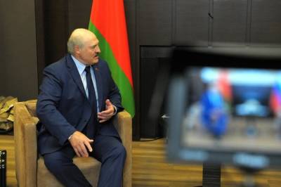 Александр Лукашенко - Лукашенко устроил Литве проверку на гуманизм - infox.ru - Украина - Белоруссия - Минск - Вильнюс - Польша - Чехия - Литва