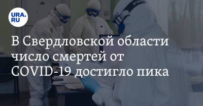 В Свердловской области число смертей от COVID-19 достигло пика - ura.news - Свердловская обл.