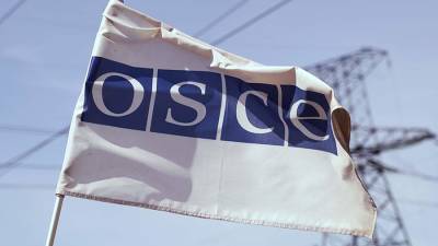 Владимир Шаповалов - Политолог оценил решение ОБСЕ не посылать наблюдателей на выборы в ГД - iz.ru - Россия - Израиль