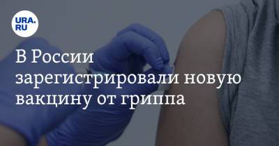В России зарегистрировали новую вакцину от гриппа - ura.news - Россия