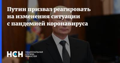 Владимир Путин - Путин призвал реагировать на изменения ситуации с пандемией коронавируса - nsn.fm - Россия