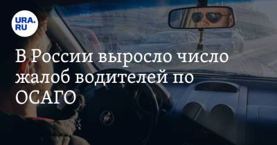 В России выросло число жалоб водителей по ОСАГО - ura.news - Россия