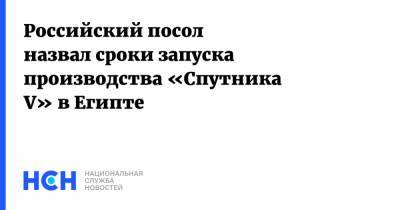 Георгий Борисенко - Российский посол назвал сроки запуска производства «Спутника V» в Египте - nsn.fm - Россия - Египет - Каир