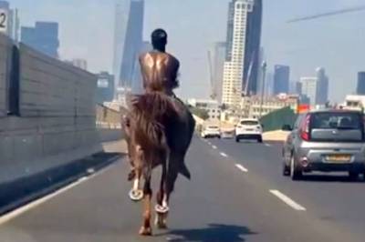 Араб из Яффо проскакал на коне по шоссе Аялон - nashe.orbita.co.il - Израиль - Тель-Авив - Цар