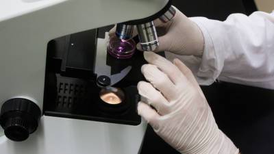 Разведка США получила генетические данные о вирусах из лаборатории в Ухане - mir24.tv - Сша - Ухань