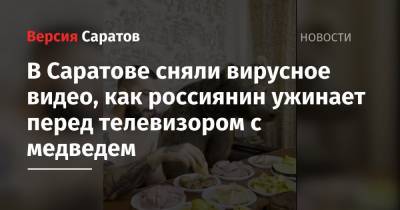 В Саратове сняли вирусное видео, как россиянин ест перед телевизором с медведем - nversia.ru - Саратов