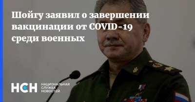 Сергей Шойгу - Шойгу заявил о завершении вакцинации от COVID-19 среди военных - nsn.fm - Россия