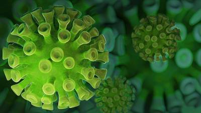 В Великобритании обнаружили план по борьбе с коронавирусом 16-летней давности - inforeactor.ru - Англия