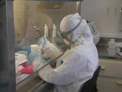 Ученые назвали опасность нового варианта коронавируса «Лямбда» - actualnews.org - Япония