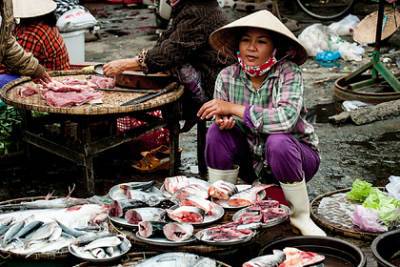 Мир оказался под угрозой исчезновения морепродуктов - lenta.ru - Сша - Китай - Вьетнам - Южная Корея