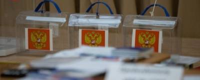 Депутат МГД рассказал о защищенности дистанционного голосования - runews24.ru - Россия - Москва