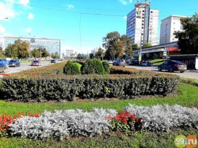 В крупных городах Прикамья введены новые ограничения - 59i.ru - Прикамье
