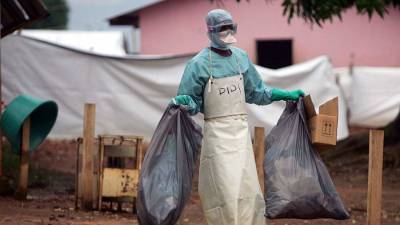 Случай подозрения на смертельную лихорадку Марбург выявлен в Гвинее - iz.ru - Израиль - Гвинея - Сенегал