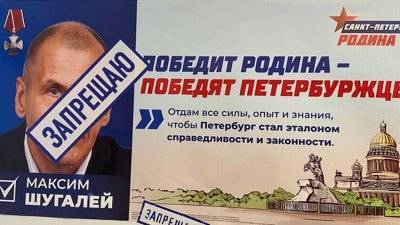 Как в петербургской избирательной кампании работают схемы 90-х годов - newdaynews.ru - Санкт-Петербург
