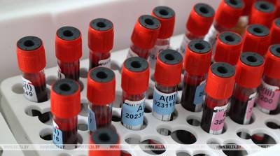Антитела к коронавирусу сохраняются через семь месяцев после заражения - эксперты - belta.by - Белоруссия - Минск