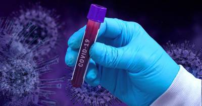 В США научились определять штамм коронавируса по слюне - ren.tv - Сша