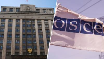 «Двойные стандарты в подходах»: как в России отреагировали на отказ ОБСЕ наблюдать за выборами в Госдуму - russian.rt.com - Россия - Москва