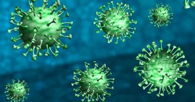 Ученые рассказали о сроке сохранения антител к COVID в организме - ren.tv