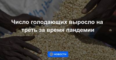 Число голодающих выросло на треть за время пандемии - news.mail.ru - New York