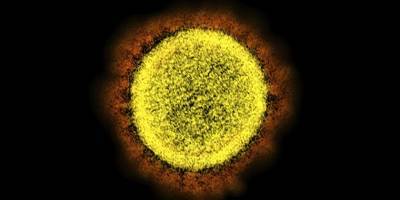 Новый домашний тест на коронавирус может определить штамм всего за час - detaly.co.il - Бостон