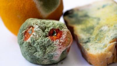 В поезде, где ехали отравившиеся дети в Туапсе, нашли просроченные продукты - 5-tv.ru - республика Карелия