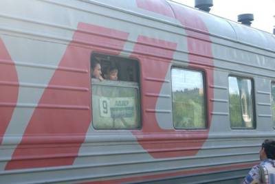 Врачи оценили состояние 87 детей, отравившихся в поезде Мурманск — Адлер - eadaily.com - Мурманск - Краснодарский край - Адлер