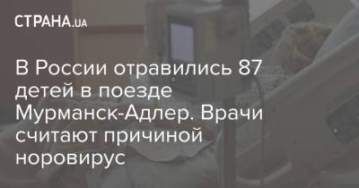 В России отравились 87 детей в поезде Мурманск-Адлер. Врачи считают причиной норовирус - strana.ua - Россия - Украина - Мурманск - Адлер