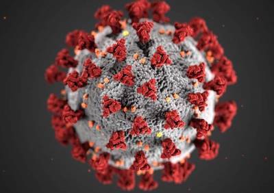 Михаил Мурашко - Мурашко заявил, что третья волна коронавируса более агрессивна из-за мутации штамма - ya62.ru - Россия