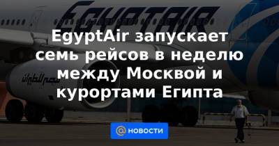 EgyptAir запускает семь рейсов в неделю между Москвой и курортами Египта - news.mail.ru - Россия - Москва - Египет